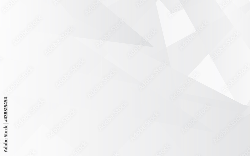 Obraz premium abstract white background, white modern background vector design