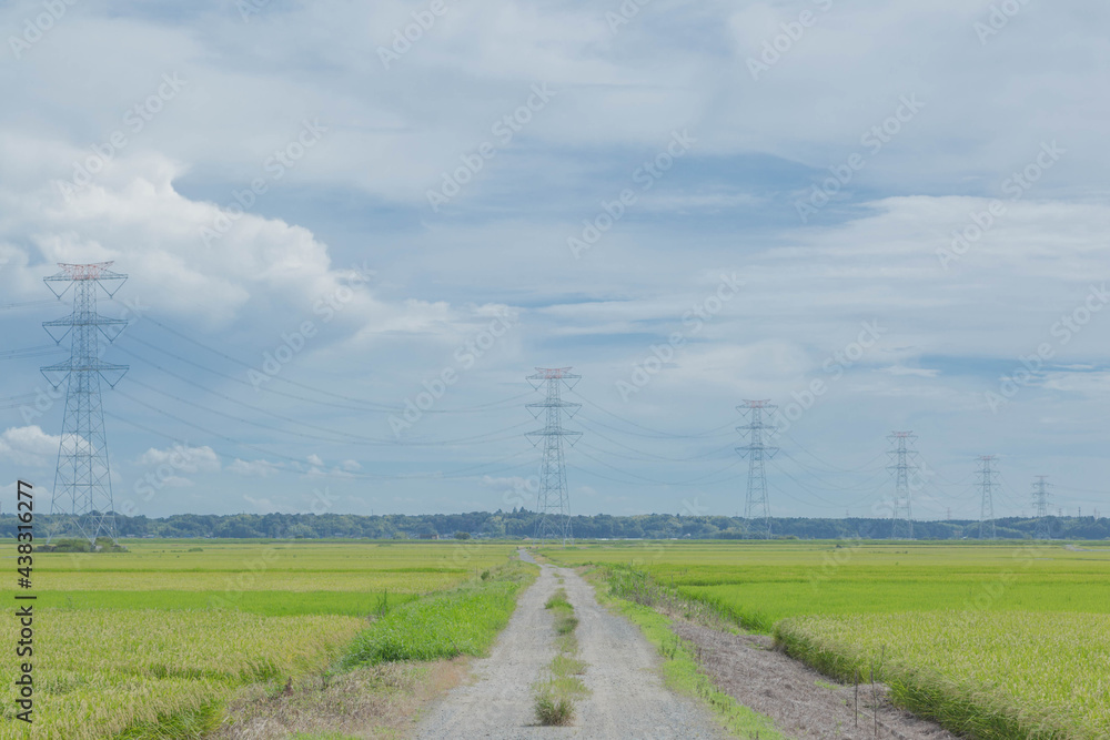 夏の田舎の風景