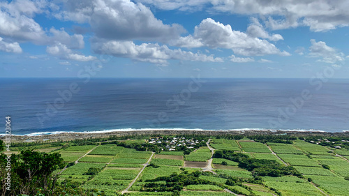 Kikaijima sugar cane field, blue sky and sea