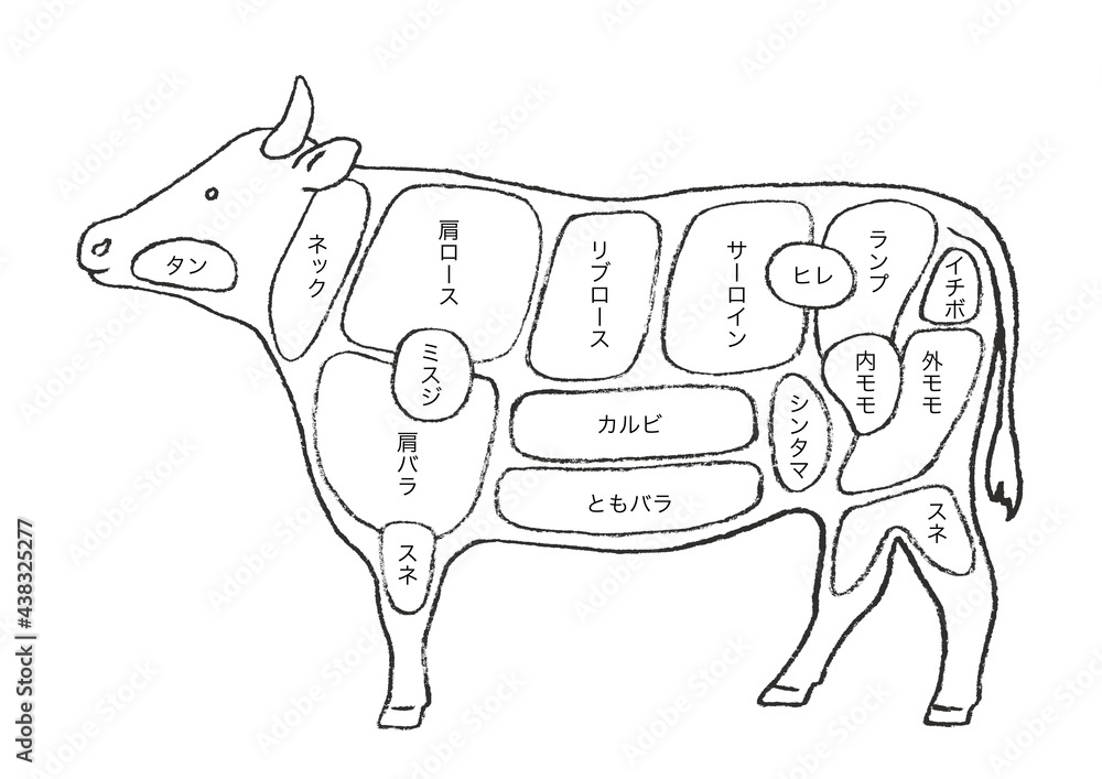 牛肉の部位説明 手描きのイラスト Stock Vector Adobe Stock 牛肉の部位説明 手描きのイラスト Stock Vector Adobe Stock