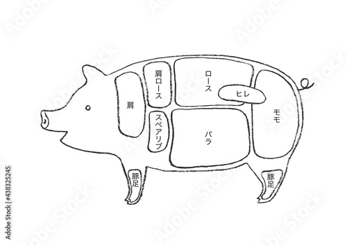 豚肉の部位説明-手描きのイラスト
