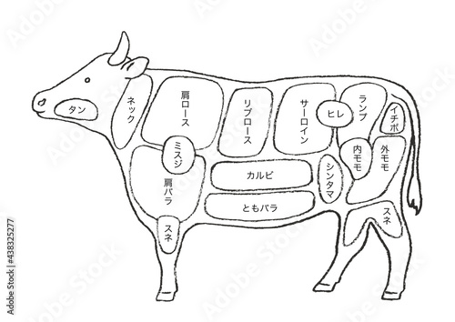 牛肉の部位説明-手描きのイラスト
