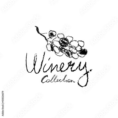 Grape vine illustration with pencil texture. Wine themed illustration. Wine-shop icon. Chalkboard texture. Grapevine drawing for emblem vineyard, biodynamic wines, grape festival, wine bar sign.