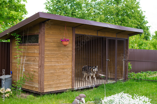 Fényképezés aviary for dogs, a large plot with a house for huskies, on the street in the yar