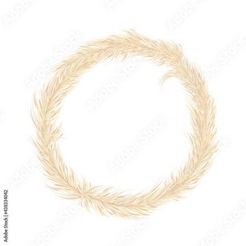Pampas grass wreath. Festive decoration template. Panicle Cortaderia selloana South America. Vector illustration
