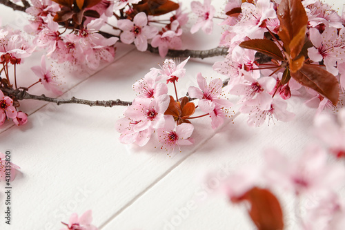 Beautiful blossoming branches on white wooden background, closeup