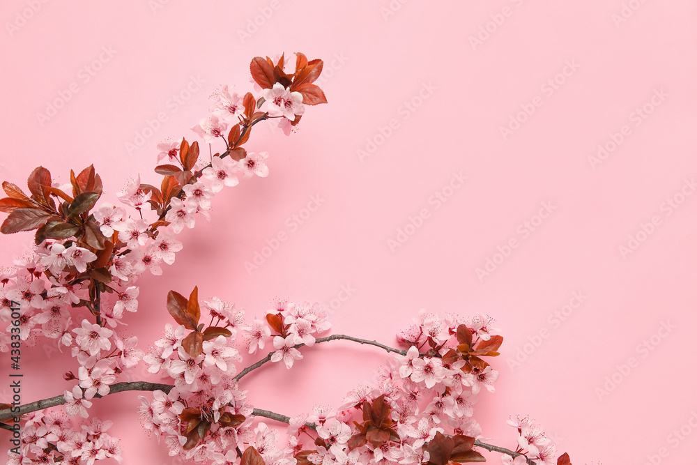 Beautiful blossoming branches on color background Beautiful blossoming branches on color background