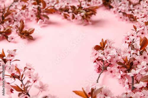 Beautiful blossoming branches on color background © Pixel-Shot