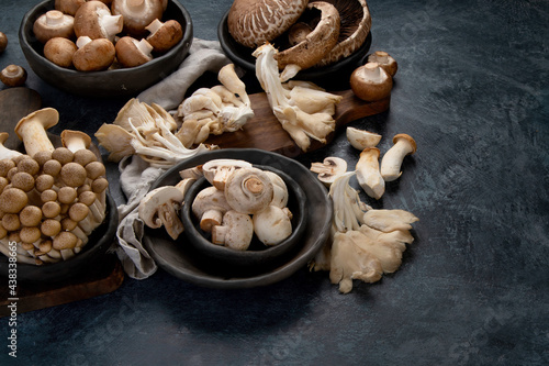 Variety of raw mushrooms on dark background. Vegan food cocnept. copy space