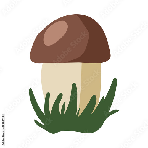 Boletus mushroom in the grass illustration isolated on white background. Hand drawn art. Vector