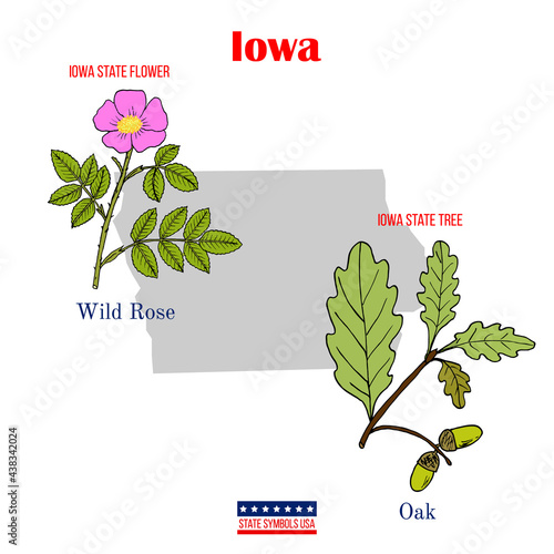 Iowa. Set of USA official state symbols