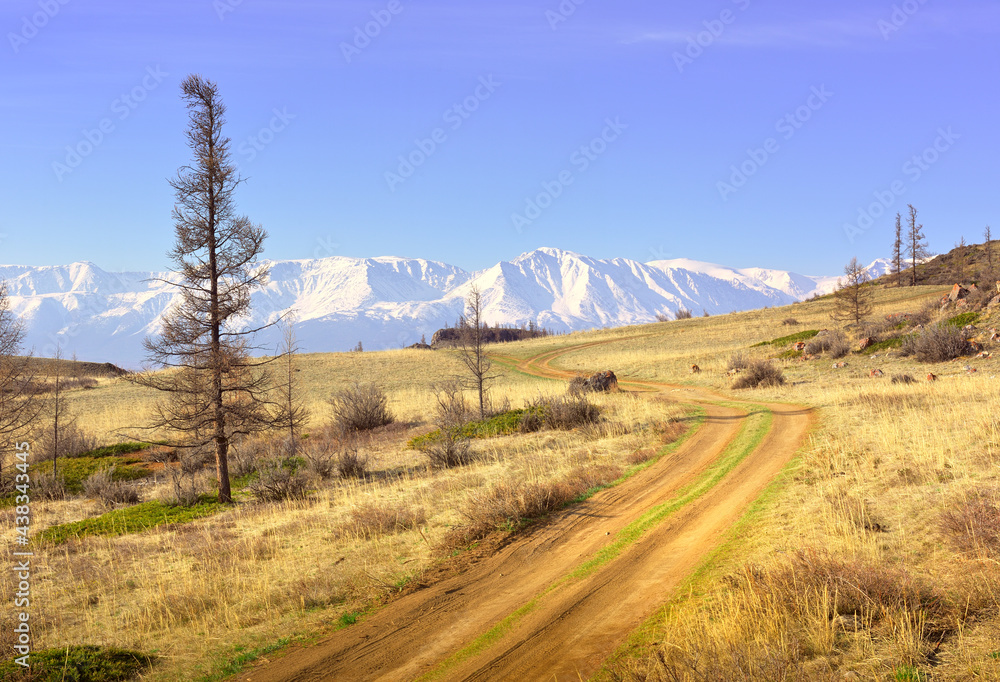 The North-Chui range in the Altai Mountains. A winding dirt road in the Kurai steppe, snow-capped mountains in the distance under a blue sky. Pure Nature of Siberia, Russia