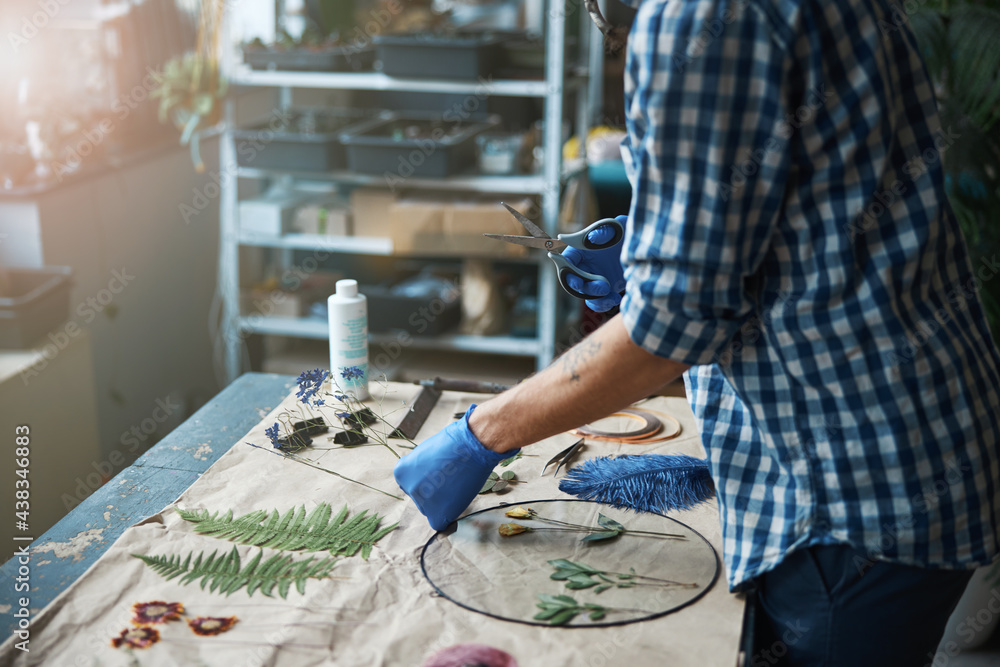 Fototapeta premium Young man in gloves making herbarium in workshop