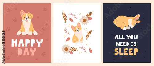 Cute breed welch funny corgi set, kawaii dog with decoration. Pretty pets character design concept for posters with decoration, placards, cards in flat cartoon style. Vector illustration concept