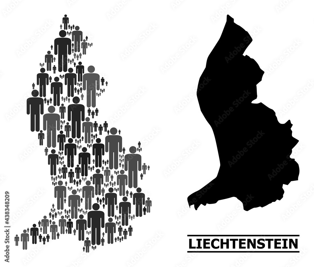 Map of Liechtenstein for social projects. Vector demographics mosaic