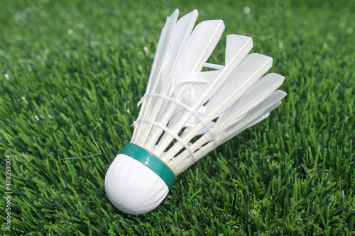 Badminton shuttlecock on the green grass