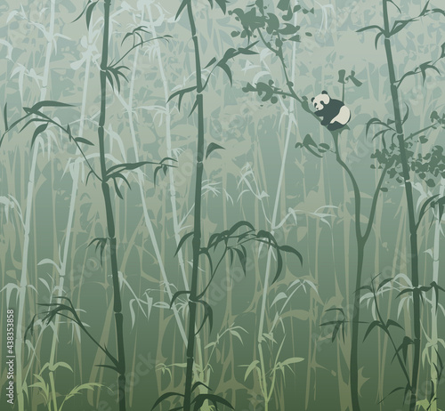 Vector illustration with panda in bamboo forest 