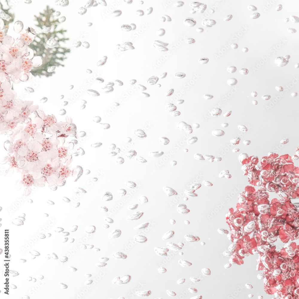 Pink yarrow flowers with air bubbles Pink yarrow flowers with air bubbles