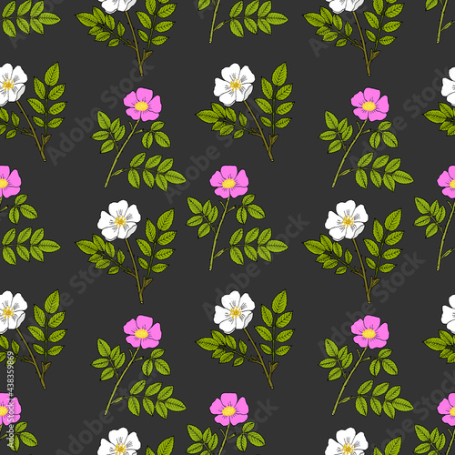 Seamless pattern with cherokee rose and wild prairie rose