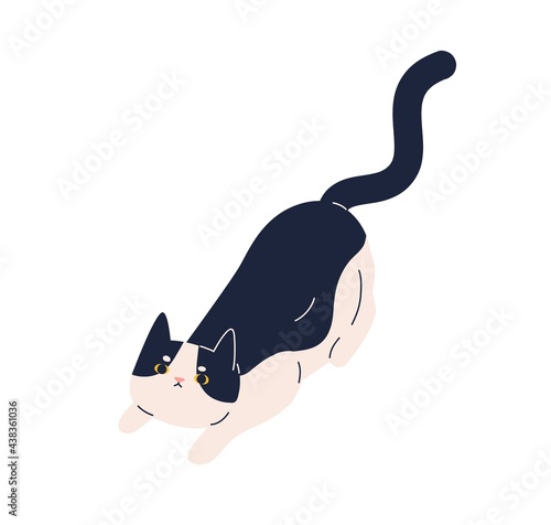 Cute playful cat with plaintive look asking and calling for playing game. Sweet kitty raising eyes and tail up. Adorable kitten. Flat vector illustration of feline animal isolated on white background