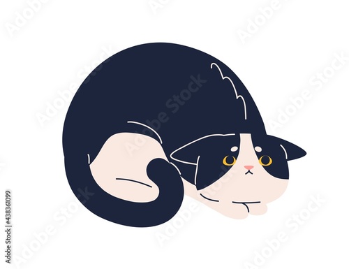 Scared frightened cat with mournful fearful look. Sweet kitty raising eyes up, praying for smth. Adorable kitten with pitying expression. Flat vector illustration of feline animal isolated on white