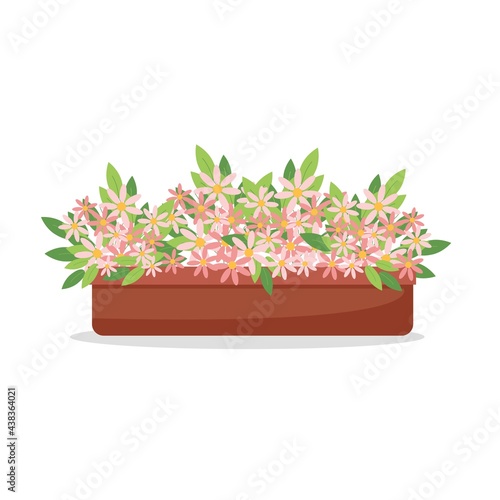 Pink daisies in a pot, houseplants, cute pink flowers, vector illustration in flat style, cartoon.