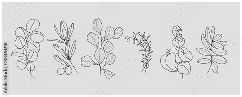 minimal botanical graphic sketch drawing, trendy tiny tattoo design, floral elements vector illustration