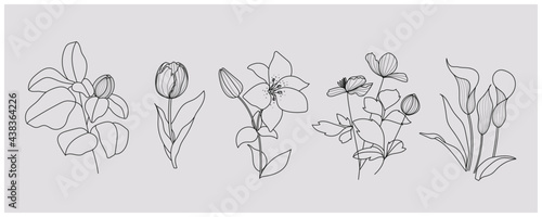 minimal botanical graphic sketch drawing, trendy tiny tattoo design, floral elements vector illustration