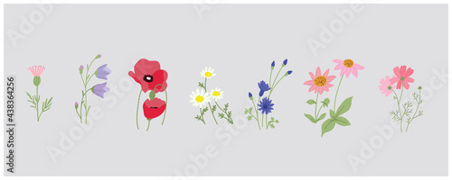 minimal botanical graphic sketch drawing, trendy tiny tattoo design, floral elements vector illustration