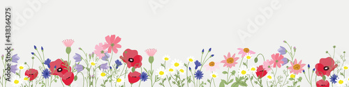 minimal background wild flower vector for spring and summer wallpaper 