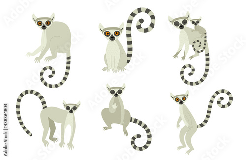 A set of lemurs in different poses. Exotic cute animals of madagascar and africa. Vector illustration in flat style
