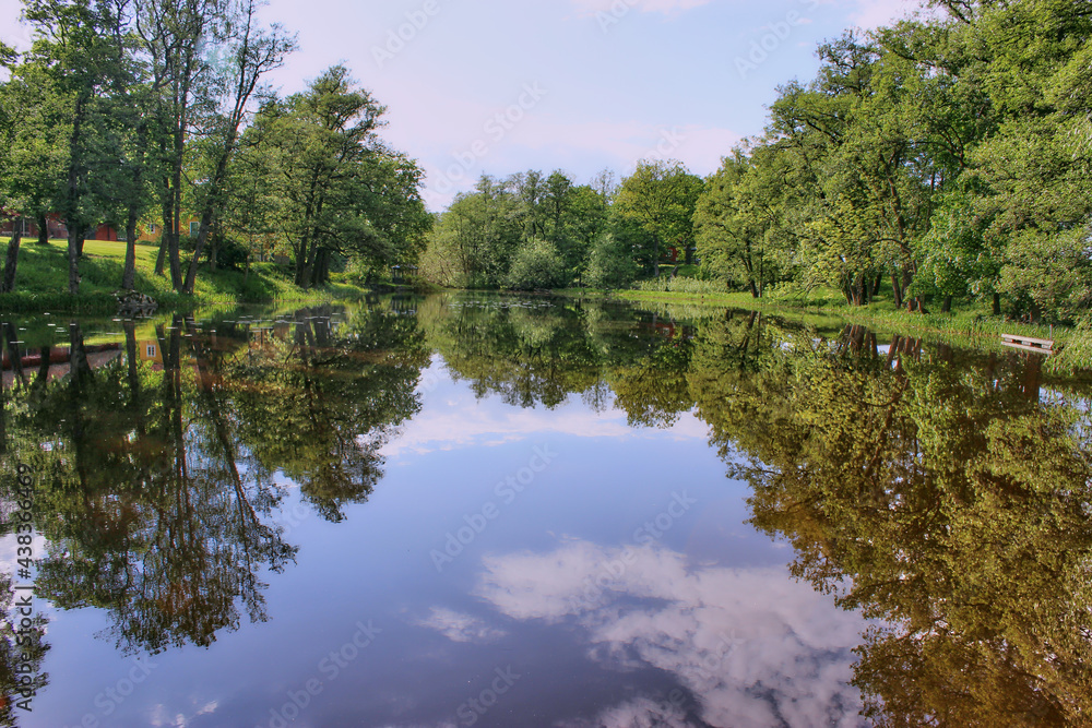 
Trees Branches Shadow in Water Images