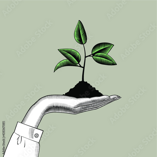 Female hand holding a handful of soil with a growing young shoot or sprout. Vintage engraving stylized drawing. Vector illustration