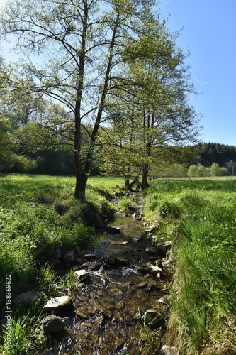 Bachlauf im Hunsrück