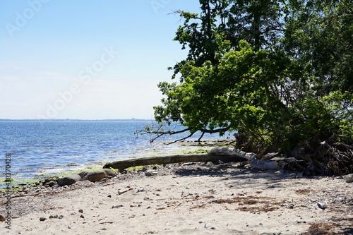 Wilder Ostseestrand in der L  becker Bucht zwischen Neustadt in Holstein und Sierksdorf bei Sonnenschein