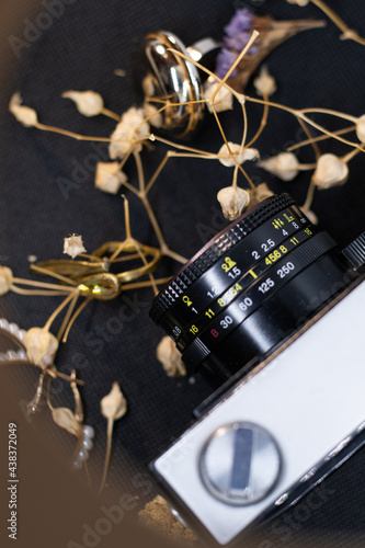 Old vintage analog camera on a black background with beige, yellow dried flowers from the top