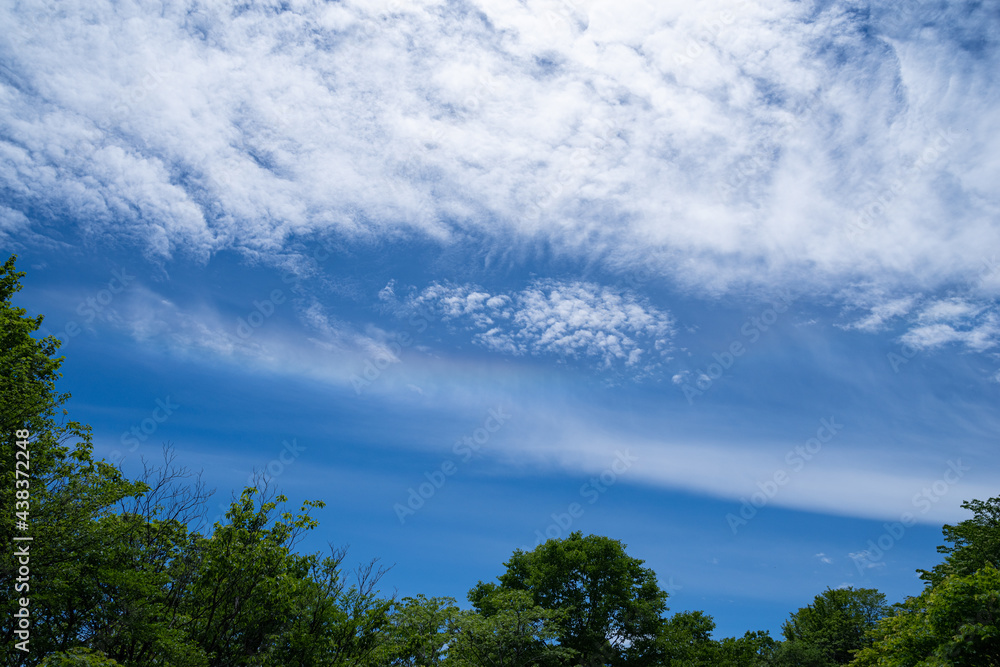 青空 青空