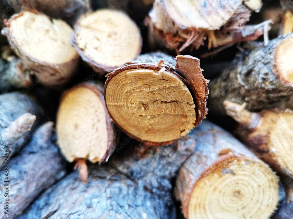 Woods in the woodshed. Rows of wood. firewood Woods in the woodshed. Rows of wood. firewood