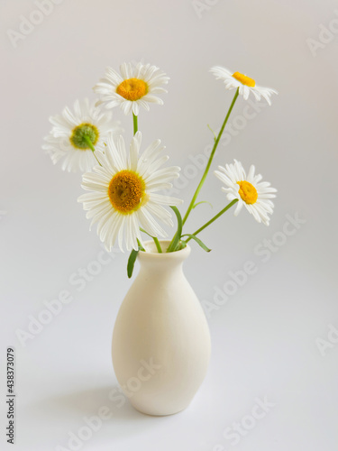 Flower composition.  High key photography with white daisies in a clay vase on a white background.  Natural light template for your projects. © Viktoriia