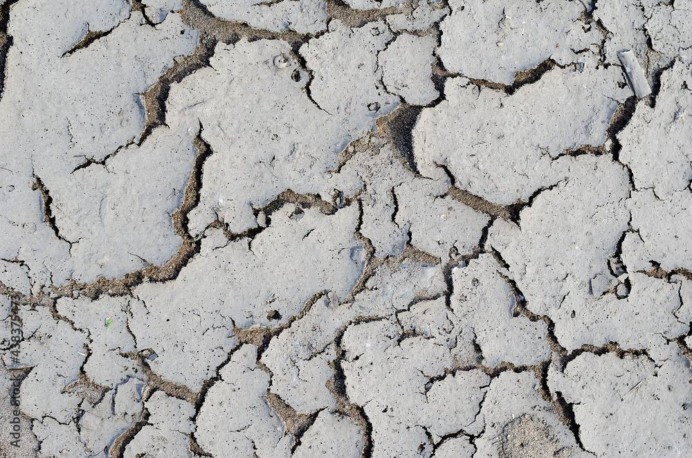 Fototapeta premium Dry Mud Texture. Gray cracked soil after a drought.