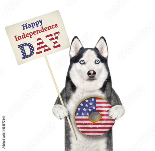 A dog husky patriot is holding a usa donut and a poster that says happy independence day. White background. Isolated. photo