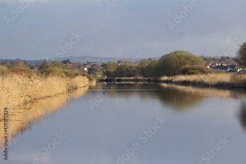 long distance of the ship canal in Devon with Winter bull rushes reflected in the still water
