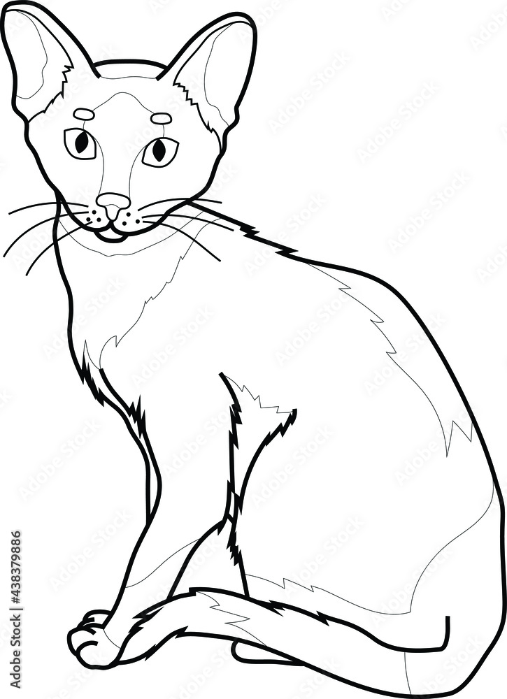 Realistic sitting cat sketch template. Cartoon graphic vector illustration in black and white for games, background, pattern, decor. Coloring paper, page, children's story book. Print for fabrics Realistic sitting cat sketch template. Cartoon graphic vector illustration in black and white for games, background, pattern, decor. Coloring paper, page, children's story book. Print for fabrics
