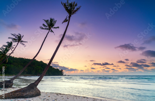 Dawn on a deserted beach with beautiful leaning coconut trees facing the sea and a beautiful dramatic sky emerald