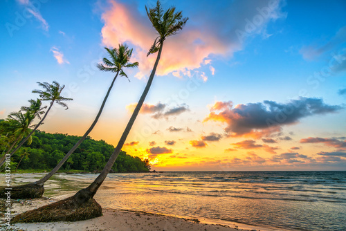 Dawn on a deserted beach with beautiful leaning coconut trees facing the sea and a beautiful dramatic sky emerald