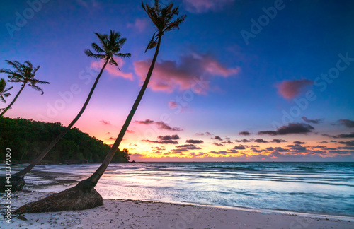 Dawn on a deserted beach with beautiful leaning coconut trees facing the sea and a beautiful dramatic sky emerald