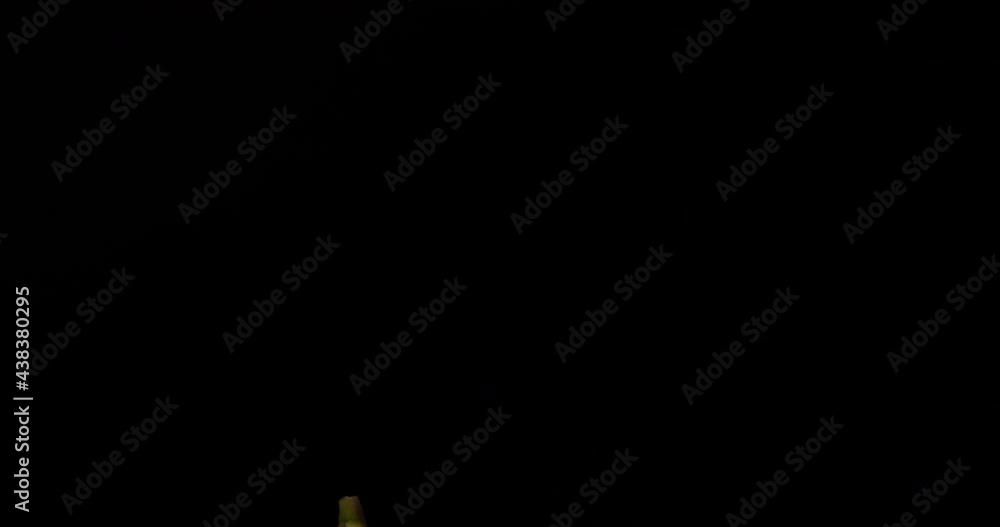 Tilt-down video of figs on a wooden board with black background. Tilt-down video of figs on a wooden board with black background.