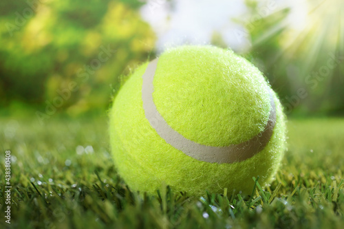 Summer background with tennis ball on meadow