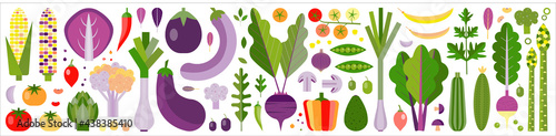 Fresh Farm Organic Vegetables Banner