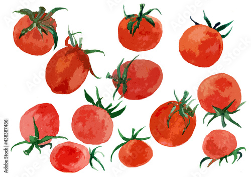 Many different tomatoes. Cheerful fruits.